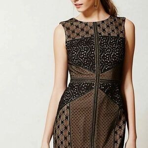 New Anthropologie Heartloom Lace Topography Sheath dress size Small Petite